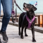 Preview: DOG Copenhagen V2 Comfort Walk Pro Mocca